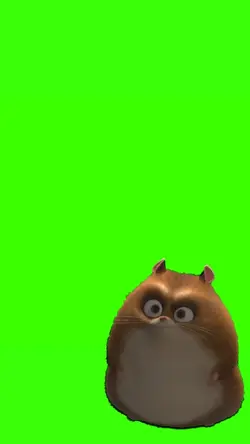 hamster
