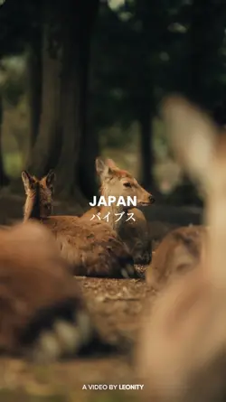 Japan Cinematic