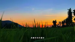 Nhạc trung chill