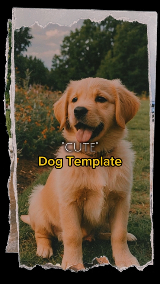 capcut template cover