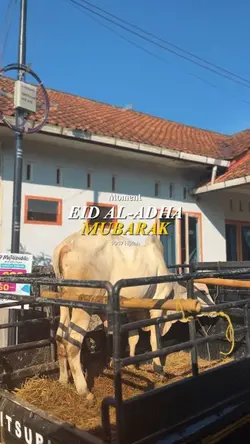 idul adha 1447 h