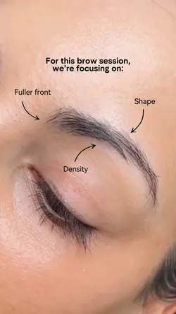 2 clips brows 