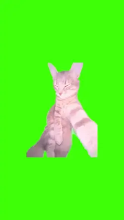 chat selfie
