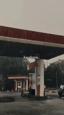 tetep milih kamu