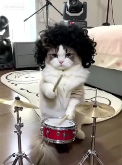AI PET DRUMMER 
