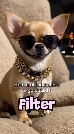 Dog Filter