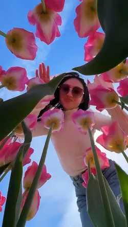 SPRING Vibes 