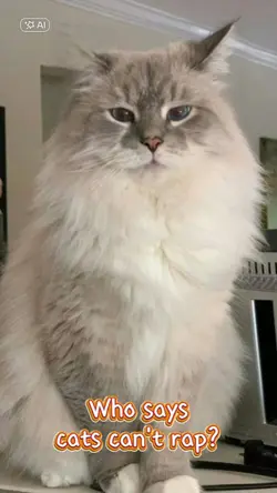 Cats Rap lipsync
