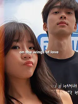 on the wings of love