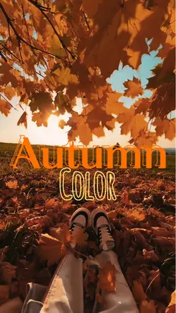 Autumn color