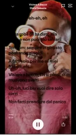 Visiera a becco 