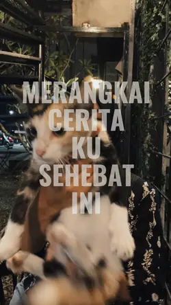 usik