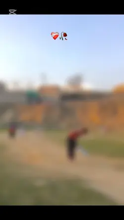 Cricket 6 edit