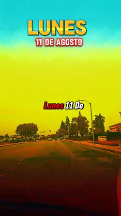 LUNES 11 DE AGOSTO 