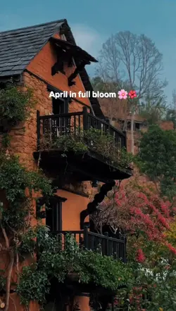 April Blossoms