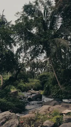 Resah jadi luka