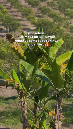 Semoga Agustus rezek