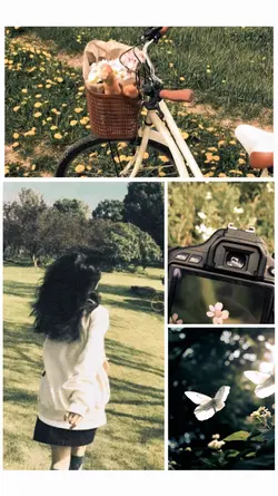 4 Collage