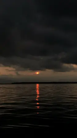 4 Video / Foto