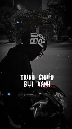 TRÌNH CHIẾU BỤI XANH