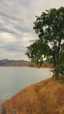 Landscape trip