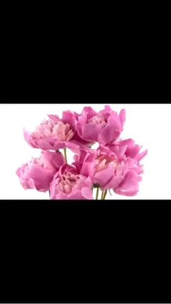 Mother's Day
