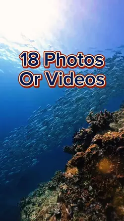 18 Video Slides