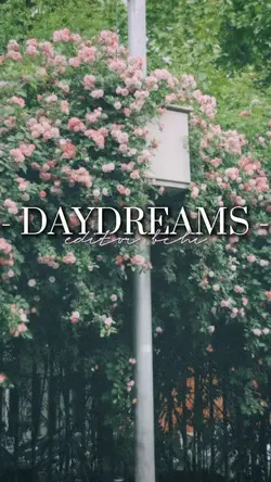 daydreams
