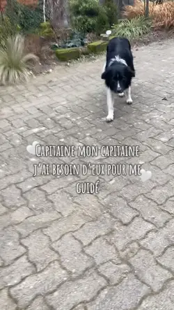Capitaine mon…