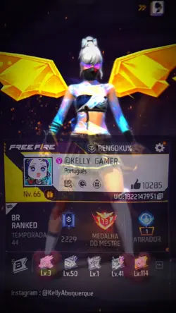perfil 
