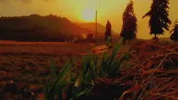 cinematic 