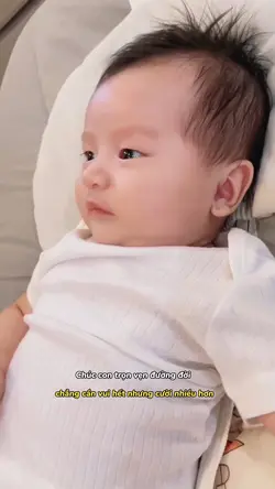 Mẫu 1 ảnh