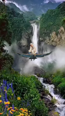 naik burung ²⁹
