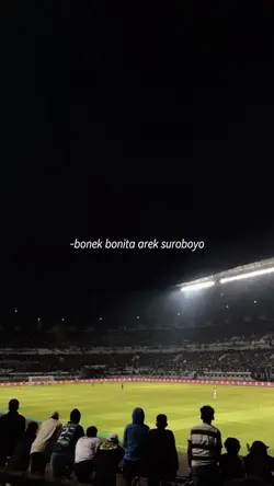 bonek