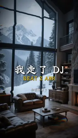 我走了 DJ