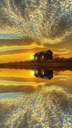 wonderful tonight