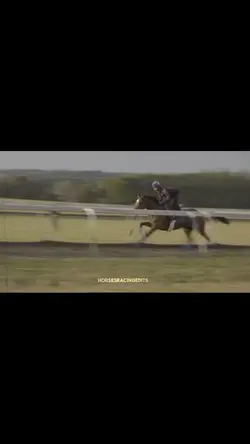 Horse racing templat