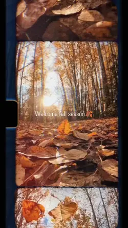 welcome fall season