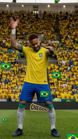 seleção brasil