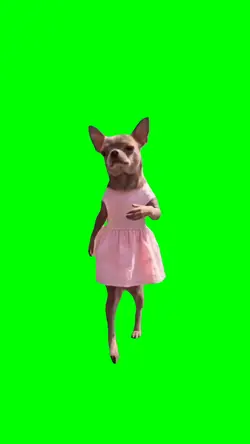 walking puppy