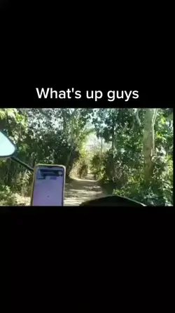 VLOGGER VLOGGERAN