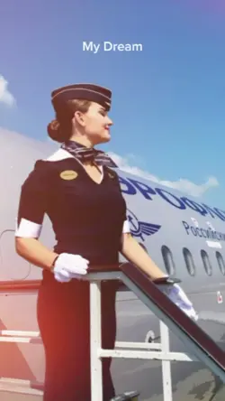 flight attendant 