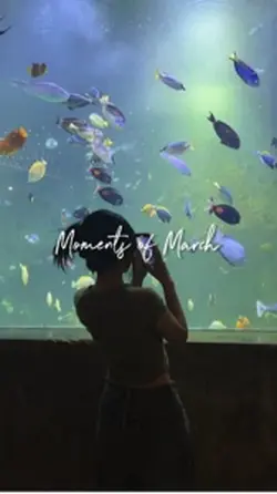 Moments of March