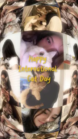happy cat day