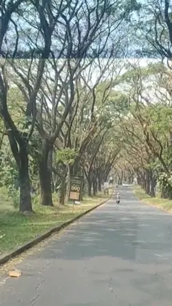 otw 
