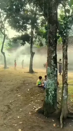 suasana desa