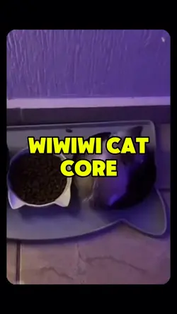 wiwiwi cat 