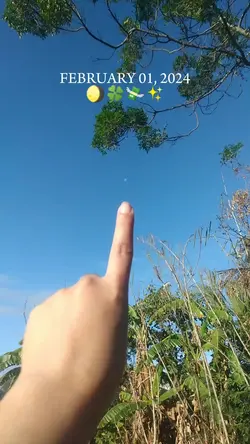 Moon in the morning 