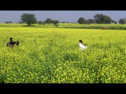 Bollywood songs 
