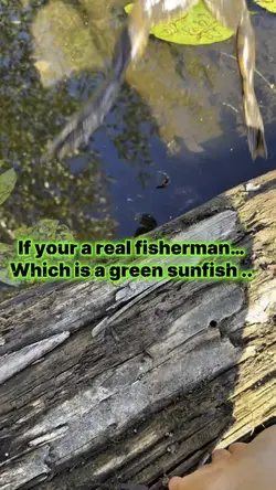 Do you know 